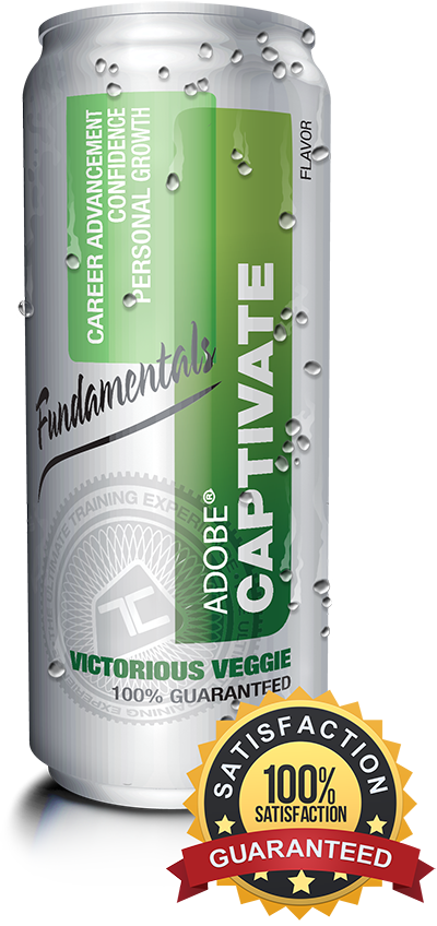 Captivate 2019 - Fundamentals Training Course
