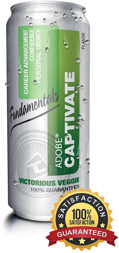 Captivate 2019 - Fundamentals Training Course