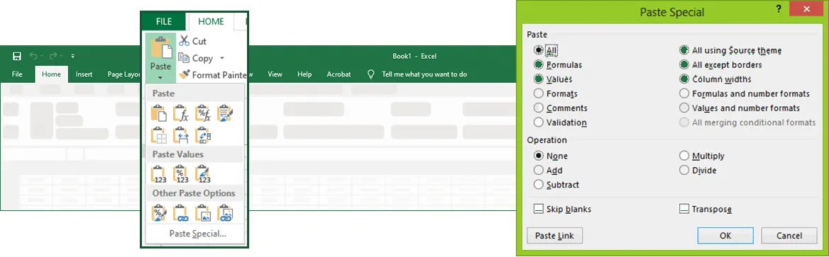 Figure 1-7: The Pate Special Options from Paste buttons and Paste Speical Dialog Box