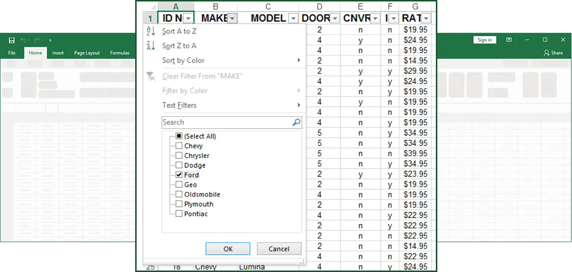 Figure 1-13: Auto Filter Dropdown Arrows