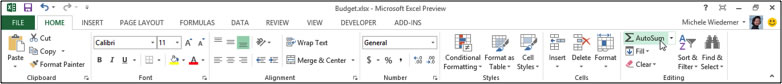 AutoSum Tool on Ribbon