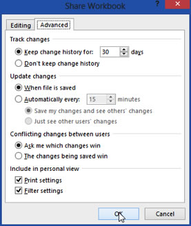 Shared Workbook - Advanced Tab