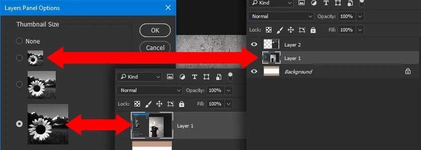 Layer Panel Options