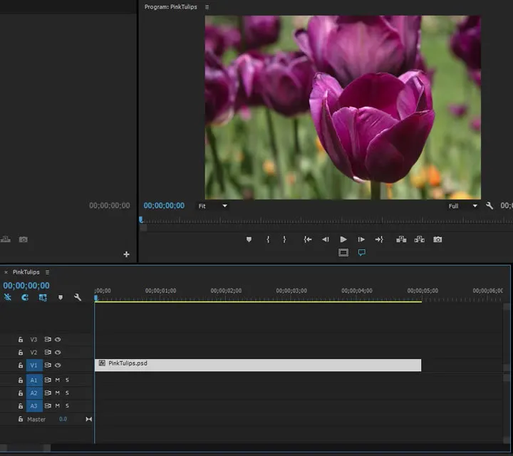 Premiere Pro Timeline