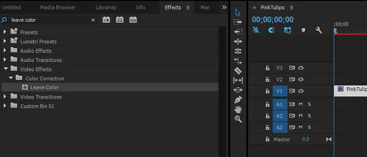 Premiere Pro Effects panel