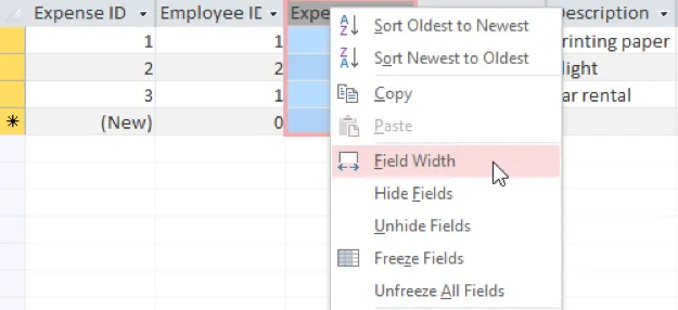 Data Field Adjustment