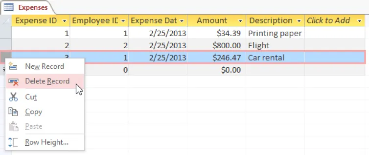 Delete Record Via Database View