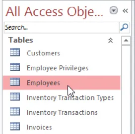 Open Object from Navigation Pane