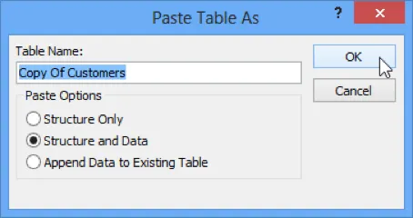 Paste Options From Dialog Box
