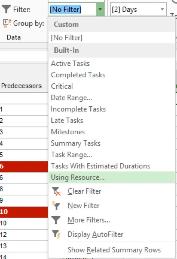 Microsoft Project Filters