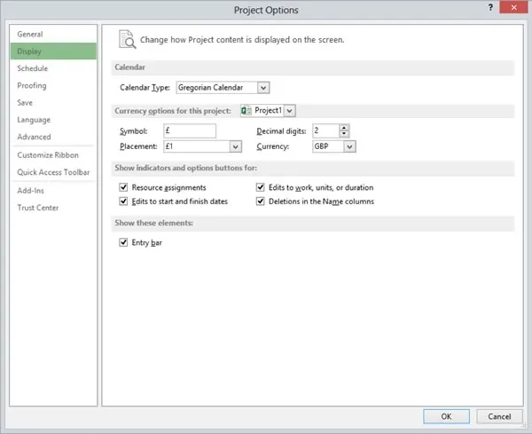 MS Project Options