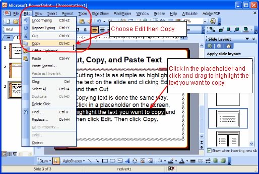 copying text from image to word