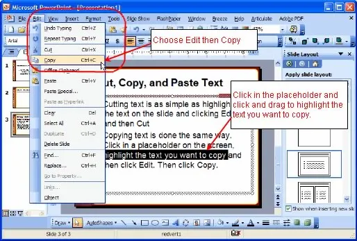 Cut Copy and Paste Text